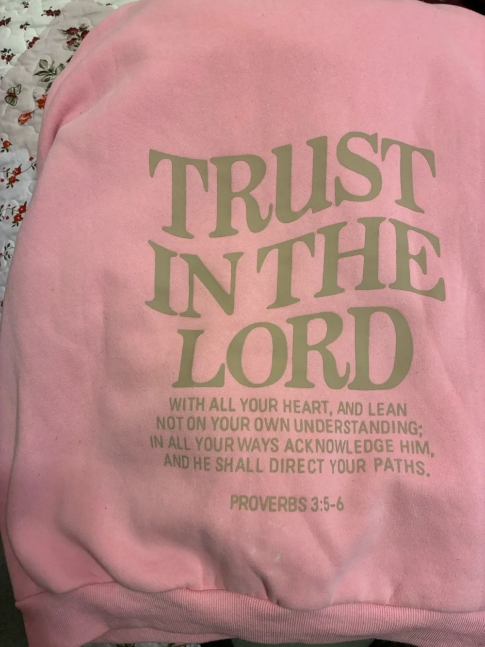 Pink "Trust in the Lord" Pullover Hoodie - Picture 6 of 6